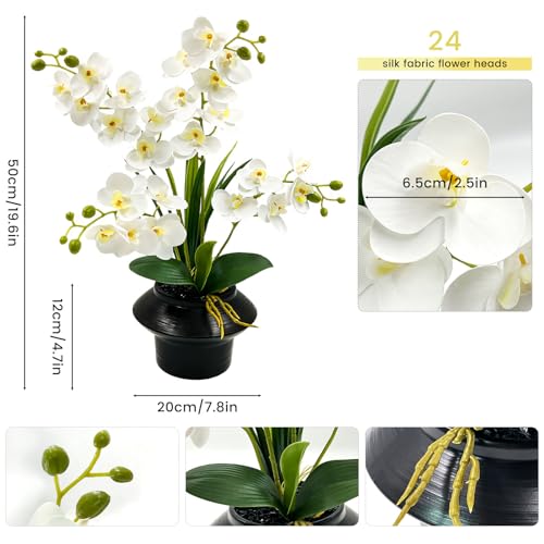 Daily Treasures 24 Heads Artificial Orchid Plant with Black Ceramic Pot, 3D Printed Silk White Faux Orchid Flowers with Buds, Lifelike Butterfly Orchid with Leaves for Modern Home Office Decor