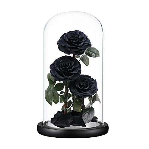 Preserved Roses Handmade Preserved Flowers in Glass Dome, Black Roses Never Withered, Birthday Gifts for Her (13 inch) - color: Black, size: X-Large