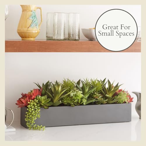 CG Hunter Oblong Faux Succulent Arrangement, Premium Artificial Indoor Plant Enhances Interior Design, Display on any Surface in Your Home Adding an Inviting Touch of Nature, Grey Planter Pot Included - size: 27" Oblong Grey Planter