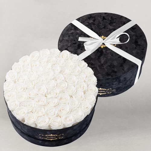 Gifts for Women – NATROSES 60 Preserved Roses in Luxury Black Velvet Box, Preserved Flowers for Delivery Gift for Her, Elegant Rose for Birthday, Mother’s Day, Christmas (White) - color: White, size: 60 Roses