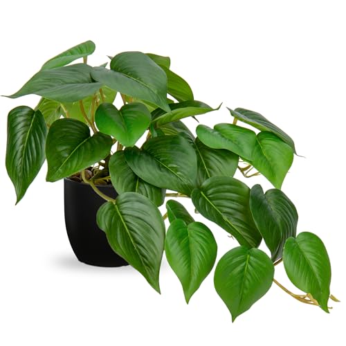 DILATATA Fake Plants Indoor 8 Inch Artificial Pothos Plant in Black Plastic Pot - Faux Potted Pothos Plant for Home Aesthetic Decor Living Room Shelf Office - color: Pothos #Plastic
