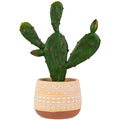 Northlight Real Touch™ Artificial Green and Red Potted Floral Cactus - 9.5"