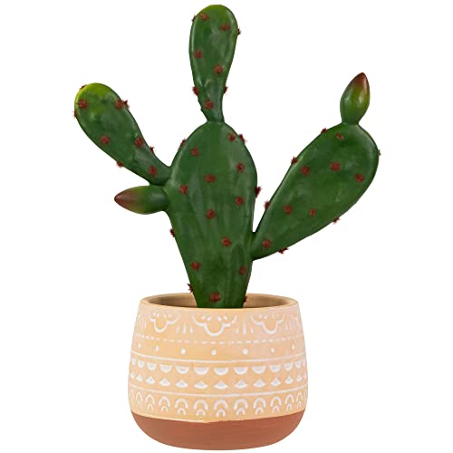 Northlight Real Touch™ Artificial Green and Red Potted Floral Cactus - 9.5"