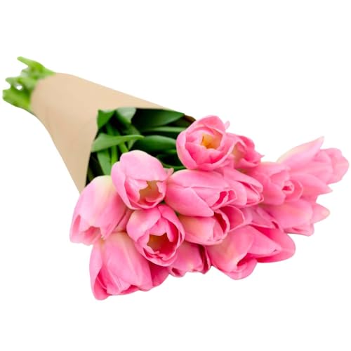 Stargazer Barn 15 Stem Pink Tulips Bouquet - Fresh Cut Flower Delivery, Hand-Tied in the USA, Gift for Birthday, Anniversary, Sympathy or Home Decor - Vase Not Included - color: Pink
