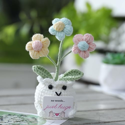 Crochet Sympathy Gifts for Loss of Loved One – No Words, Just Hugs Crochet Puff Flower Plant– Bereavement, Memorial, Get Well Soon, Grief Gift Idea for Loss of Grandpa Grandma Mom Dad - color: E-no Words, Just Hugs