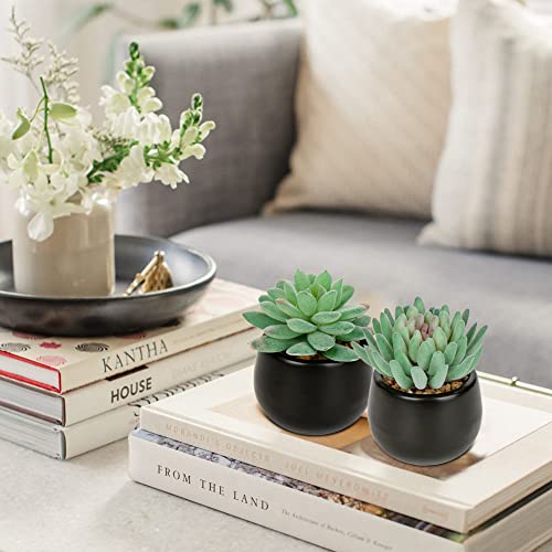 Briful 3PCS Artificial Succulents Fake Plants Mini Succulents Potted in Black Ceramic Pots Artificial Plastic Plants for Home Office Desk Farmhouse Bathroom Décor - color: Type #1