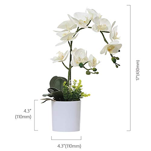 White Orchid Artificial Flowers in Pot, Fake Plastic Orchid Flowers, Decoration for Home Office Wedding(White 2 Bouquets) - color: White 2 Bouquets