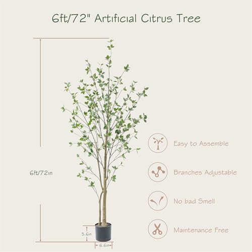 Bellacat 6ft Artificial Minimalist Citrus Tree with Lifelike Leaves, 72in Faux Citrus Tree with Realistic Trunks, Faux Tree Indoor Outdoor for Home Office Living Room Bedroom Porch Decor. - color: Black, size: 6ft