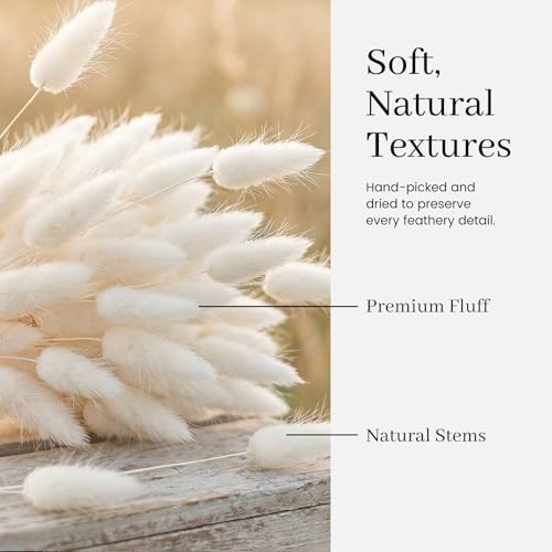 JOHOUSE 120PCS Dried Pampas Grass Decor, 17inch White Bunny Tails Dried Flowers, Bunny Tails Handpicked Bunch, Boho Flowers Home Table Decor, Wedding Decorations for Home