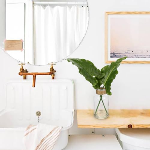 GnFlus Faux Greenery Stems in Glass Vase with Faux Water, Silk Alocasia Realistic Fake Plants Artificial Tropical Leaves for Home Office Farmhouse Wedding Centerpiece Décor - color: Alocasia #1