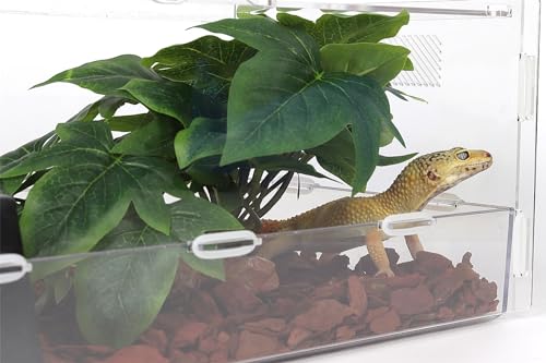 Reptile Plants for Terrarium, Ball Python Tank Decor Accessories fit Bearded Dragon Crested Leopard Gecko Lizard Chameleon Snake Frog Tortoise Hermit Crab - Fake Sweet Potato Vine - color: D-fake Sweet Potato Vine