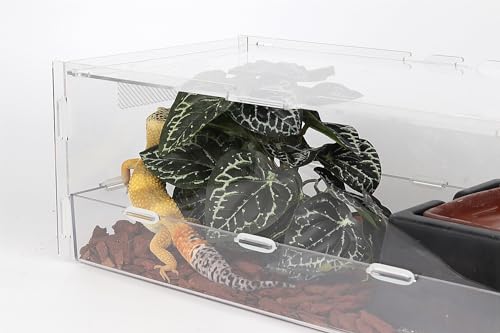 Reptile Plants for Terrarium, Ball Python Tank Decor Accessories fit Bearded Dragon Crested Leopard Gecko Lizard Chameleon Snake Frog Tortoise Hermit Crab - Fake Anthurium Crystallinum - color: C-fake Anthurium Crystallinum