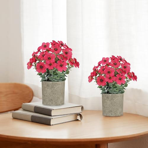 2 Pack Small Fake Plants Potted Artificial Plants Artificial Flowers Potted Faux Flower Daisy with Eucalyptus Leaves for Home Decor Office Room Farmhouse Indoor Table Bathroom Decor（Magenta） - color: Magenta