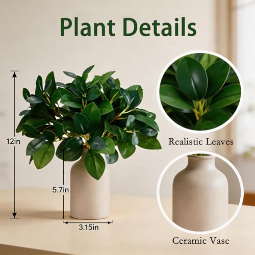 12 Inch Artificial Plant Indoor,Small Fake Plants Eucalyptus Stems With Vase,Faux Greenery In Pot For Farmhouse Home Decor,Bathroom Living Room Kitchen Office Coffee Table Centerpiece (cream white) - color: Cream White