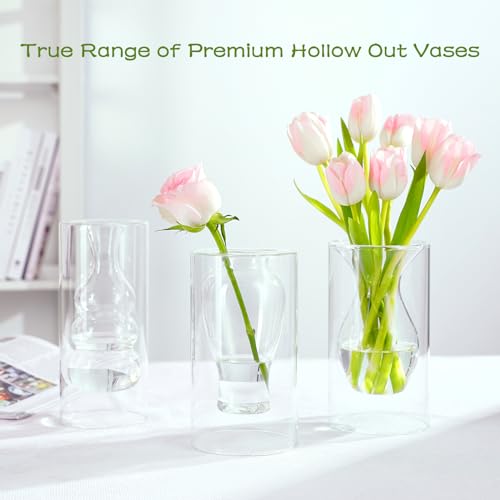 ZENS Clear Glass Bubble Flower Vase, Modern Hand Blown Hollowed Out Glass Vase for Wedding Decorative, Home Décor Small Bouquet. - color: Transparent, size: 7.87 inch tall Cabalash Vase