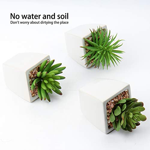 Hollyone Small Faux Succulents in White Ceramic Pot 3Pcs Artificial Succulents Fake Plant Gifts Home Decor Accents Centerpieces Bathroom Decor Mum Gifts Greenery Decoration Succulents Wedding - color: 3pack - White Ceramic 2