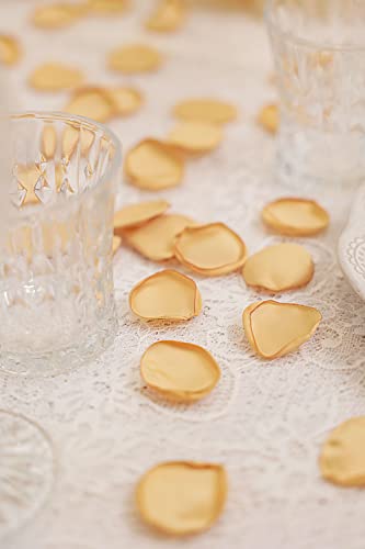 TINGE TIME 200pcs Silk Rose Petals Champagne Gold Flower Petals for Wedding, Flower Girl Basket, Aisle Runner, Romantic Dinner Centerpieces, Proposal, Party Confetti - color: Champagne