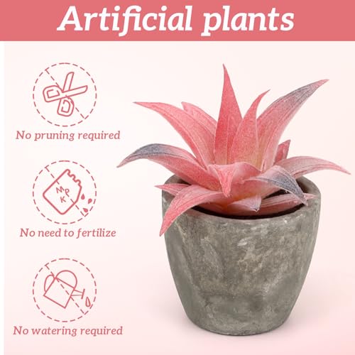 Woration 6Pcs Small Artificial Pink Succulent Set Fake Flocking Succulents Plants Potted Floral Arrangement for Shelf Office Home Desk Decorations - color: 6 Pack 6 Style Pink