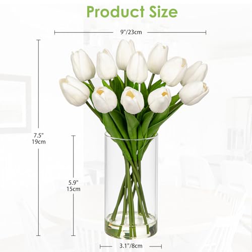 DILATATA 12 Pcs Artificial Real Touch Tulips Flowers in Glass Vase with Faux Water, Tulips Fake Arrangements White Tulips with Vase for Dining Table Home Decor Wedding Centerpieces - color: Cylindrical Vase/White/1 Set