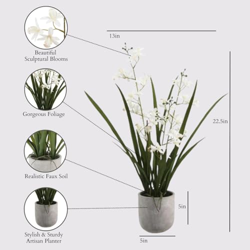 CG Hunter Faux Vanda Orchid Plant, Premium Artificial Indoor Flower Display Stands 22.5”, Beautiful Sculptural Blooms that Lasts Forever, White Planter Pot Included - size: 22.5" Vanda Orchid