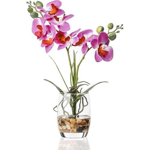 Jusdreen Artificial Purple Orchid in Glass Vase, Realistic Phalaenopsis Arrangement with Potting for Home Office Table Decor, 14.5 Inch Flower Centerpiece - color: Glass-purple