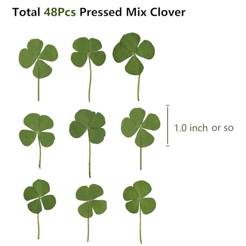 48 Pcs Mix Natural Dried Pressed 4 Leaf Clover for St Patricks Day Cake Decorating, Real Dry Flower for Lucky Jewelry Making (Four Leaf Clover) - color: Four Leaf Clover