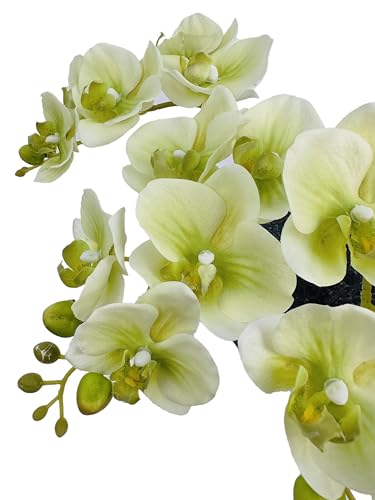 5 Artificial Orchid Flower Stems 18 Inches Real Touch Faux Phalaenopsis Stems Fake Orchid Flowers Arrange for Wedding Bridal Bouquets Home Office Indoor Decorations (Green) - color: Green