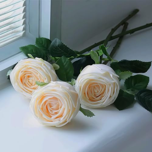 5Pcs Champagne Real Touch Silk Flowers - Lifelike Roses Peony | Lifelike champagne roses & peonies with soft latex touch, no watering needed. Perfect for wedding bouquets, home decor & DIY - color: Champagne