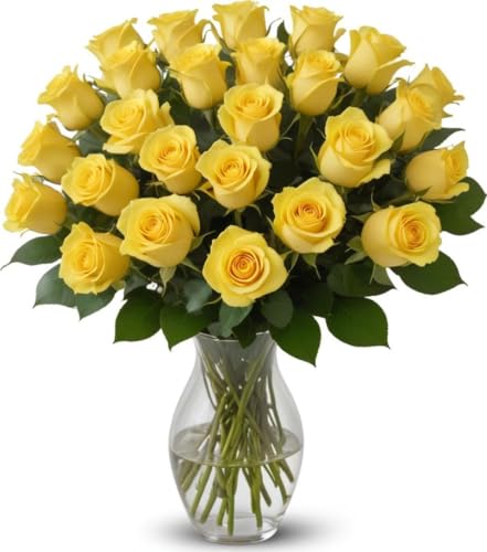 25 Yellow Roses | Arabella Bouquets | Real Fresh Flowers for Delivery, Gift for Birthday Women, Congratulations, Anniversary, Thank You, Mother's Day - color: Yellow, size: 25 Stems