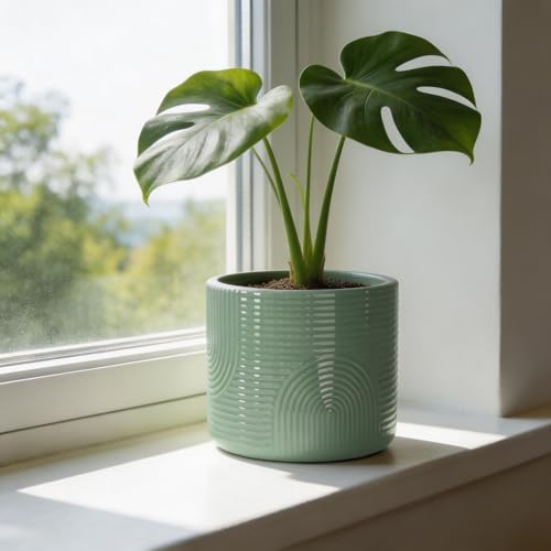 6 Inch Ceramic Plant Pot – Decorative Indoor Planter (No Drainage Hole) for Succulents, Herbs & Houseplants – Modern Tabletop Desk Planter – Sage Green - color: Sage Green