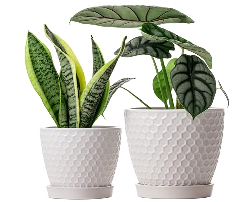 Docrin Ceramic Plant Pots Set of 2 (6.6"+5.5"), High-Fired Clay Indoor Planters with Drainage Holes & Saucer, Honeycomb Modern Home Decor for All House Plants - color: 1-white