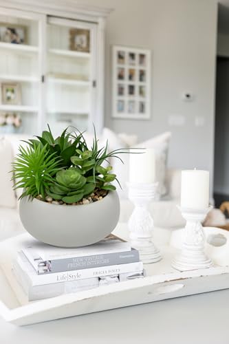 Hollyone Succulents Plants Artificial in Pots Fake Succulents for Outdoors Indoor Faux Succulent Arrangement Potted Plant in Cement Planter Bowl for Garden Office Desk Shelf Living Room Home Decor - color: Cement Grey