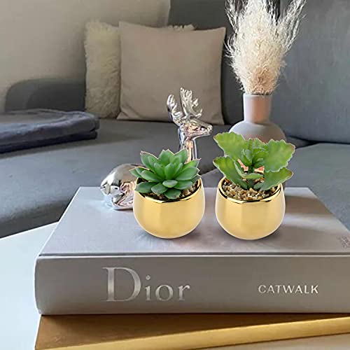 Briful Small Artificial Succulents in Pots Set of 2 Realistic Faux Succulents Plants with Gold Ceramic Pots Cute Mini Fake Plants Decor for Modern Home Table Office Desk Bathroom Shelf Decoration - color: Style #05