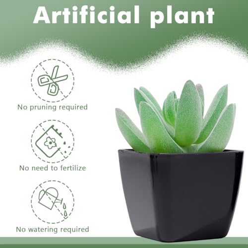Woration 6pcs Faux Artificial Mini Flocking Succulent Plants in White Pots Fake Plastic Plants Topiaries for Shelf Table Windowsills Office Home Green Decoration - color: 6 Pack 3 Style Black