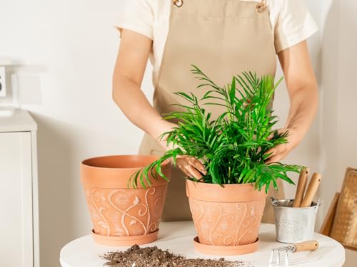 Melphoe Plant Pots Indoor with Drainage & Saucer, 2Pack 7/8 inch Flower Pots Outdoor Planters for Indoor Plants Garden Home Decor Cactus Succulent, Rigid Plastic (Imitation-Terracotta) Vine-Embossed - color: Terracotta Color, size: 7''+8"