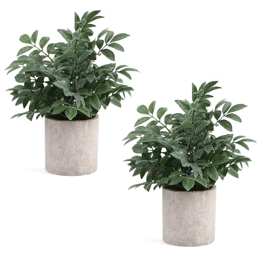 Coferset 2 Pack Small Fake Plants Potted Artificial Herb Plants for Shelf Desk Home Bathroom Farmhouse Room Coffee Table Decor (Gray Green) - color: Gray Green-small