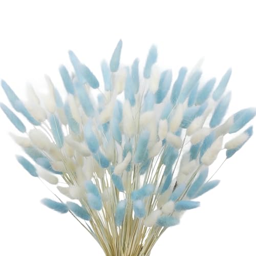 CISDUEO 120pcs Dried Bunny Tails Flowers Lagurus Ovatus Tail Dried Flowers Pampas Grass White and Blue 17" Natural Dried Floral Arrangement for Boho Decor Home Wedding DIY Farmhouse Table Christmas - color: White, Blue