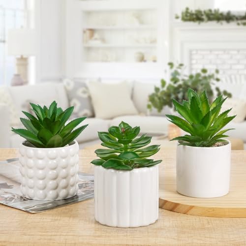 Briful Succulents Plants Artificial in White Ceramic Pots (Set of 3), Small Fake Plants for Home Office Desk Decor – Modern Mini Potted Succulents for Bathroom, Bedroom, Living Room Table, Shelf - color: White
