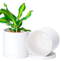 D'vine Dev 2 Pack 5.5 Inch Modern Plastic Plant Pots, Small Garden Planters for Plant with Drainage Holes and Saucers, White Color, 74-Z-H-1 - size: 5.5"