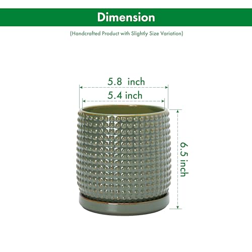 D'vine Dev 6 Inch Ceramic Beaded Stoneware Planter Pot - Flower Pot with Drainage Holes and Saucers for Indoor Succulent Plants or Flowers, Olive, 27-C-X-0 - color: Olive, size: 5.8 Inch