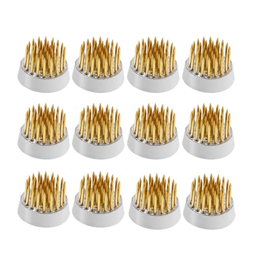 16pcs Flower Floral Frog Round Holder Includes 12pcs D23 Copper Pin Arranger+2pcs Kensan Copper Pin Arranger+1*Roll of 42.65ft Tape+1*Silver Corrector with Bell - size: 12PCS-D23+Tape+Straightener