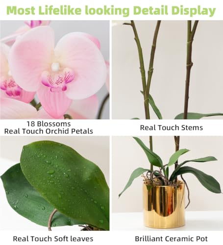 CXGS Artificial Orchid Flower Plant Real Touch Faux Orchids in Ceramic Vase Pink 19.7'' Fake Phalaenopsis Flower Arrangement Centerpiece Home Indoor Decor - color: Pink- Golden