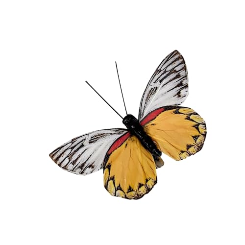 Cartanfill- Artificial Feather Simulation Butterfly Party Decoration Set, a Set of 12 Pieces with Clips, Used for Home Decoration in 12 Colors.… (D Clip) - color: D Clip