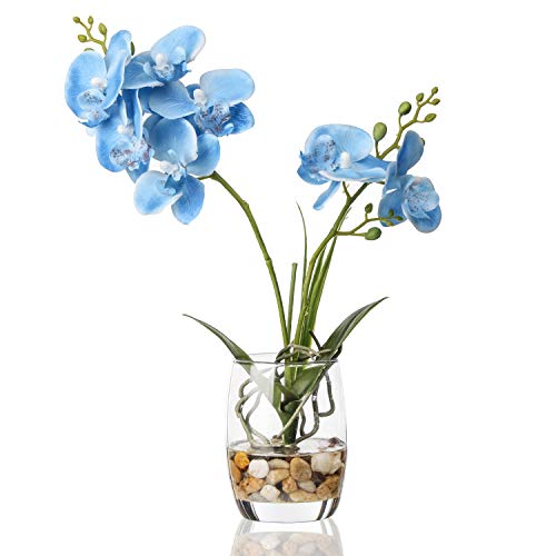 Jusdreen Artificial Blue Orchid in Glass Vase, Realistic Phalaenopsis Arrangement with Potting for Home Office Table Decor, 14.5 Inch Flower Centerpiece - color: Glass-blue