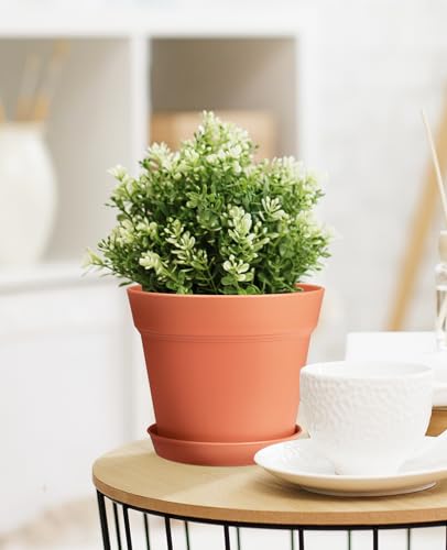homenote Pots for Plants, 15 Pack 6 Inch Plastic Planters with Multiple Drainage Holes and Tray - Plant Pots for All Home Garden Flowers Succulents - color: Terra Cotta-15 Pcs, size: 6 Inch