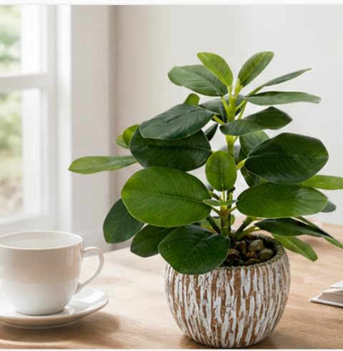 Artificial Potted Plants Life-Like Fake Plant with Farmhouse-Style Cement Planter Feturing Light Wood Tone for Room Bathroom Bedroom Kitchen Office Dese Coffee Table Décor (9inch) - size: Ficus 9inch