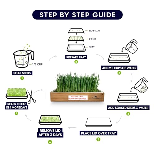 Cat Grass Refills for Self Watering Cat Grass Kit - 4 Mats and 4 Cat Grass Seed Packets (Refill Kit) - color: Cat Grass Refill Kit