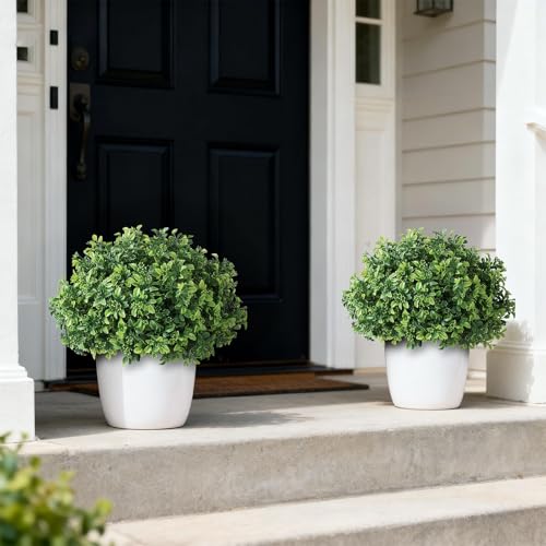 Set of 2 Artificial Boxwood Topiary Ball Trees for Front Door - Realistic Faux Aglaia Odorata Bush with Pot, Fake Eucalyptus Leaves Potted Plants for Porch Farmhouse Outdoor Decor (Green)