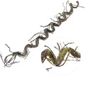 180cm/70.86in Bendable Artificial Tree Branches Vines Greenery Garland Fake Plants Twigs Wall Hanging Moss Room for Outdoor Wedding Archway Patio Jungle Theme Porch Mantel Halloween Decoration