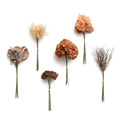 Ling's moment Artificial Greenery Stems Box Set, Faux Greenery Picks for DIY Bridal Bouquets Wedding Floral Arrangement Table Centerpieces, Burnt Orange & Amber - color: Season Combo- Late Autumn
